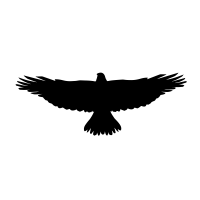 58974-200