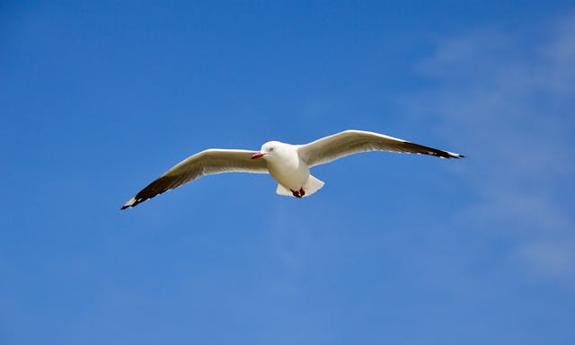 The Fear of The LORd